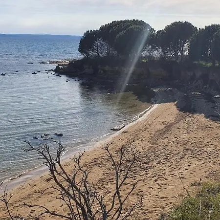 Elena Privlaka (Zadar)