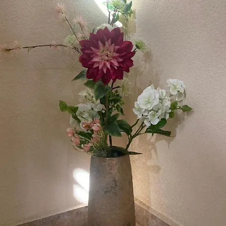 Apartamento Elena *