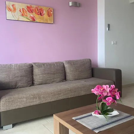 Elena Privlaka (Zadar)